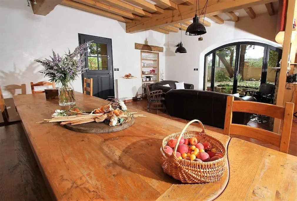 Casa vacanze Grande Maison De Charme Avec Piscine Au Coeur Des Vergers Et Vignobles La Roche-de-Glun