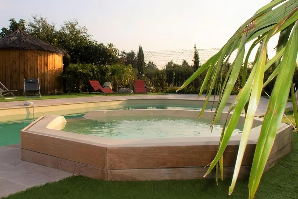Holiday home Grande Maison De Charme Avec Piscine Au Coeur Des Vergers Et Vignobles La Roche-de-Glun