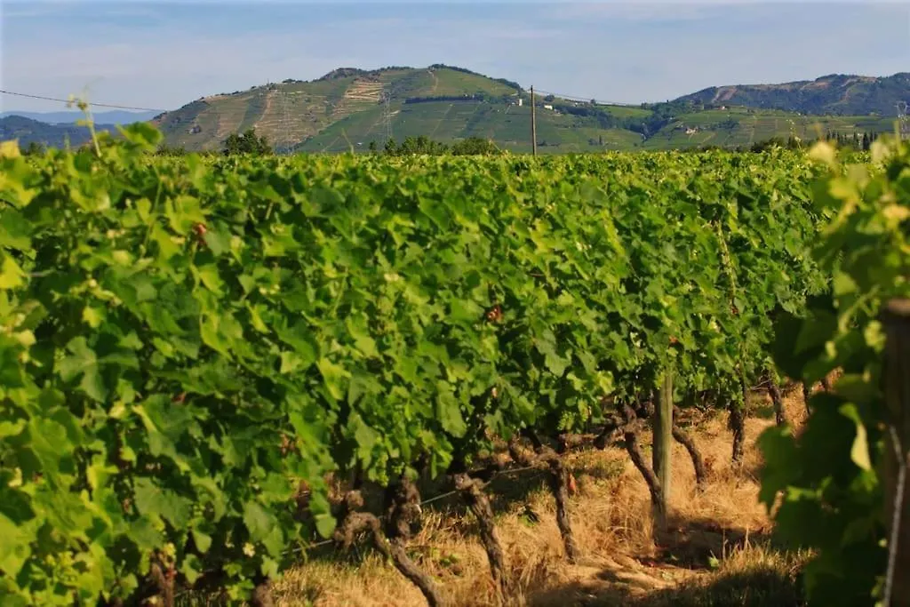 Grande Maison De Charme Avec Piscine Au Coeur Des Vergers Et Vignobles La Roche-de-Glun 0*,
